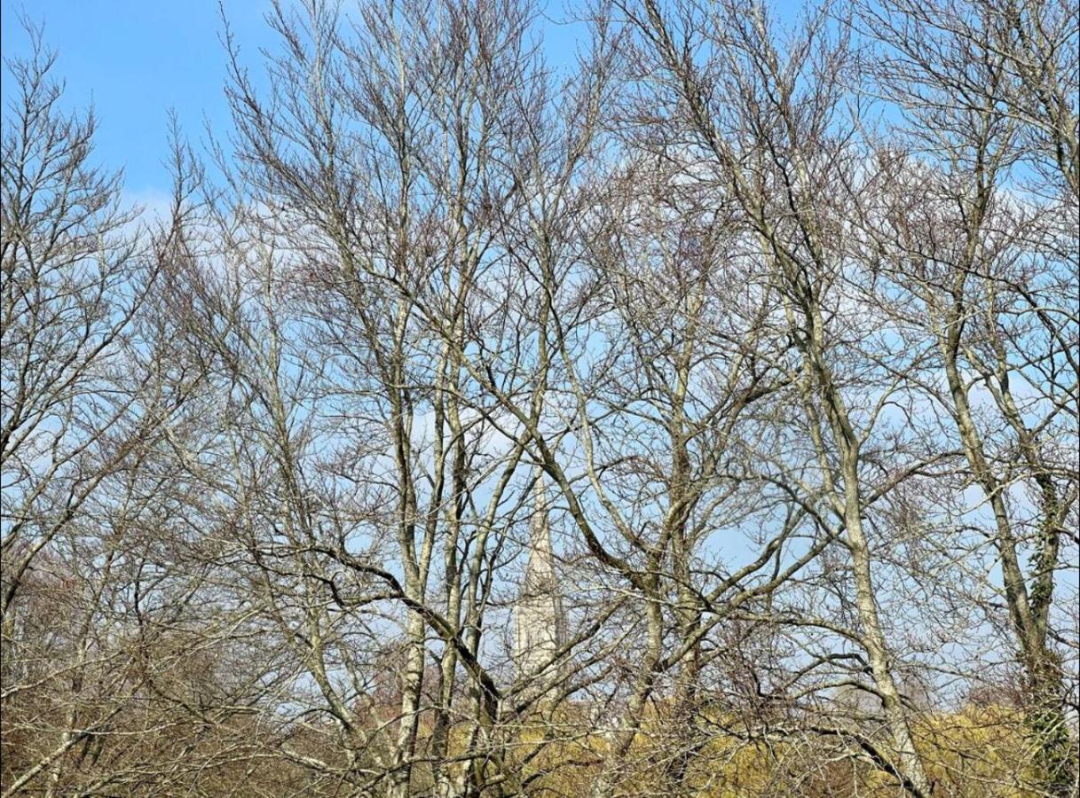 Close To Salisbury Cathedral Extérieur photo